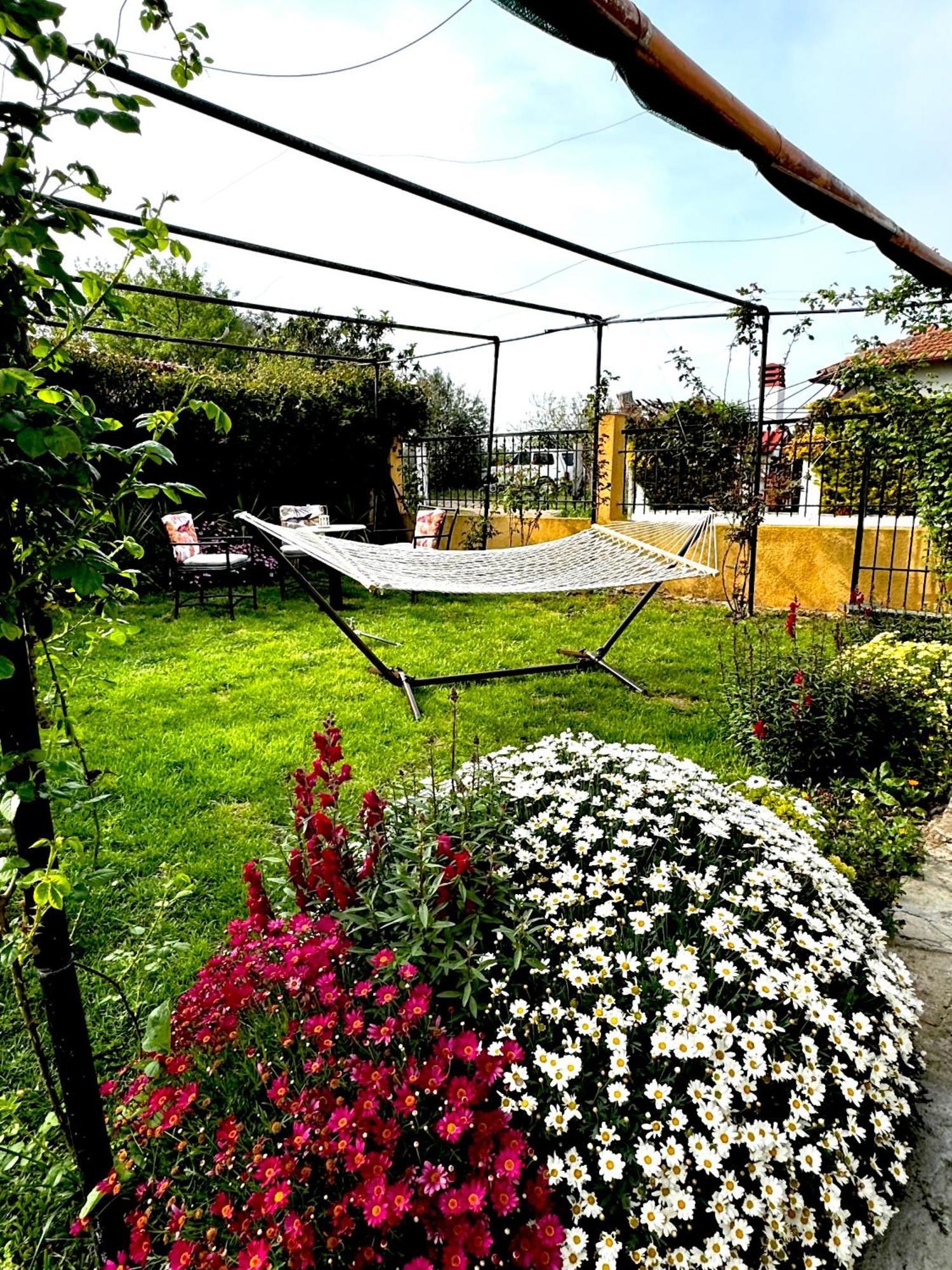 Villa Vaso With Jacuzzi Epanomi Exterior photo